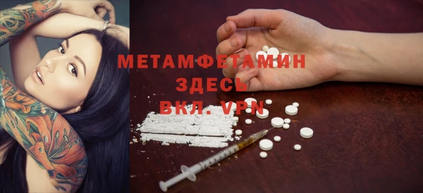 индика Аркадак