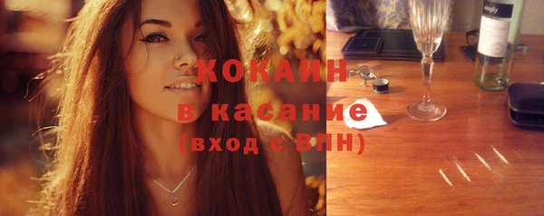 индика Аркадак