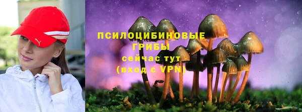 мдпв Баксан