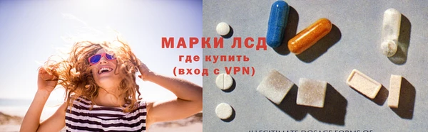 индика Аркадак