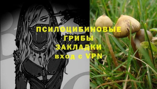 mdpv Арсеньев