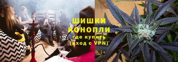 индика Аркадак