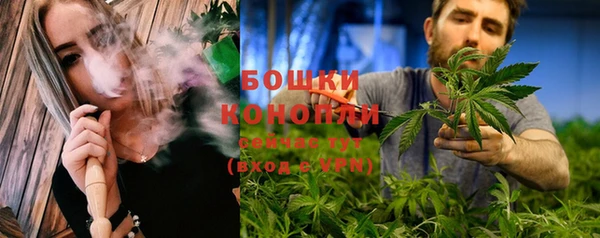 индика Аркадак