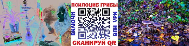 Псилоцибиновые грибы Psilocybine cubensis  Пугачёв 